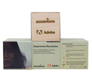 iGreen Cube per Adobe & Accenture