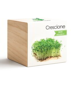 iGreen Cube Crescione