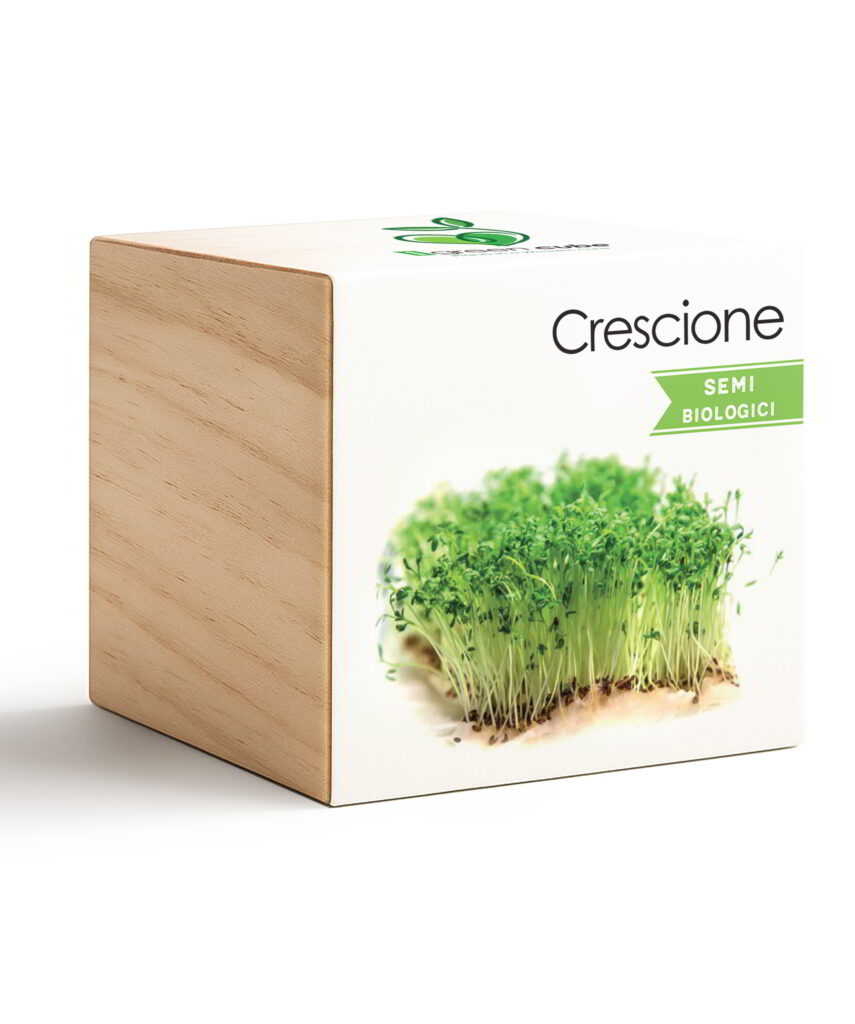 iGreen Cube Crescione