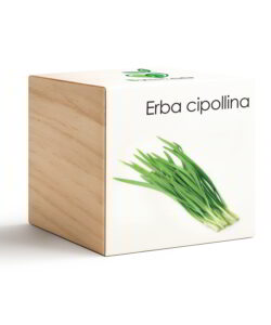 iGreen Cube Erba Cipollina