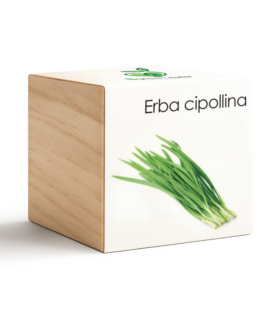 iGreen Cube Erba Cipollina