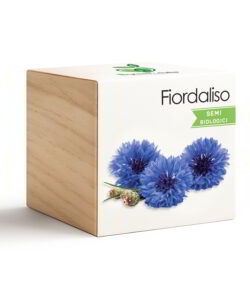 iGreen Cube Fiordaliso