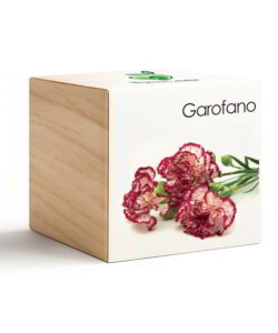 iGreen Cube Garofano