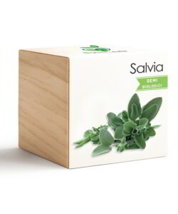 iGreen Cube Salvia