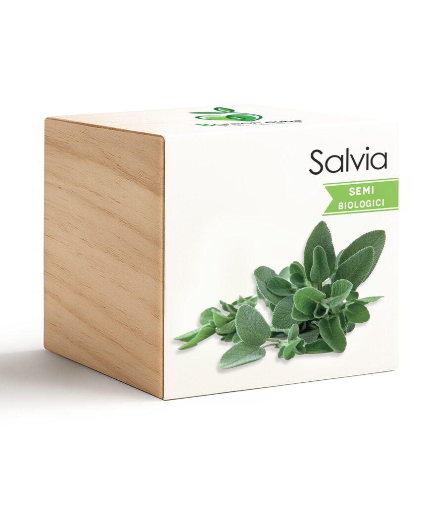 iGreen Cube Salvia