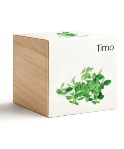 iGreen Cube Timo