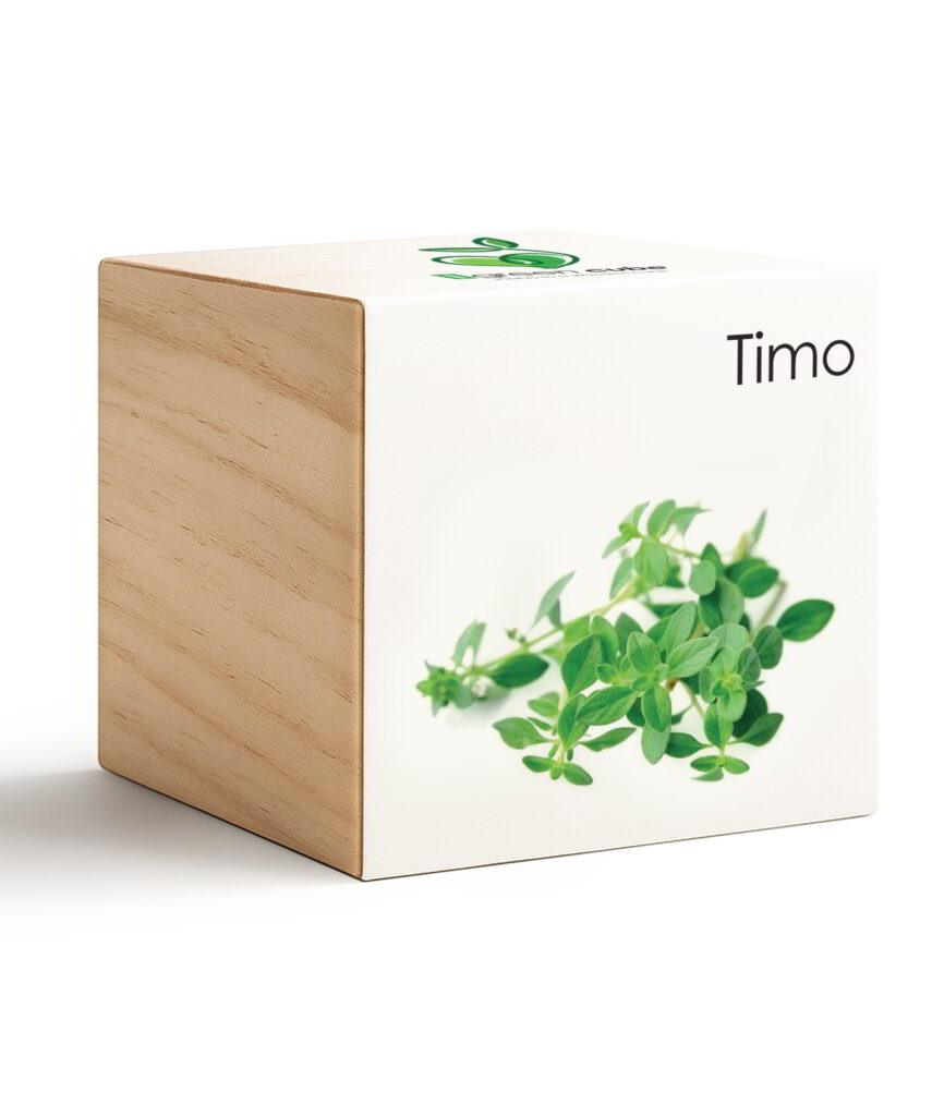 iGreen Cube Timo