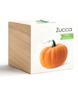 iGreen Cube Zucca