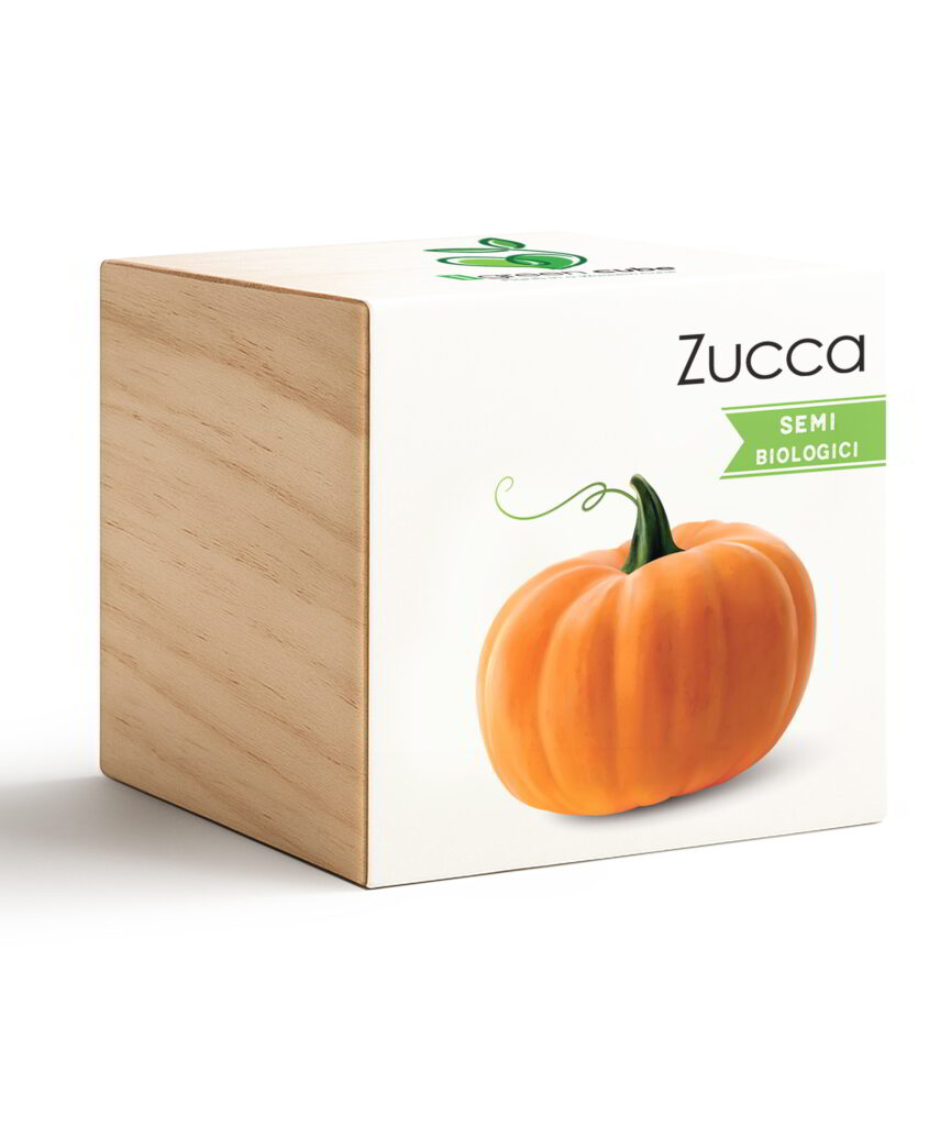iGreen Cube Zucca