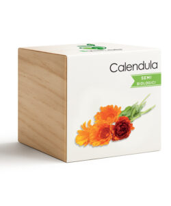 iGreencube Calendula