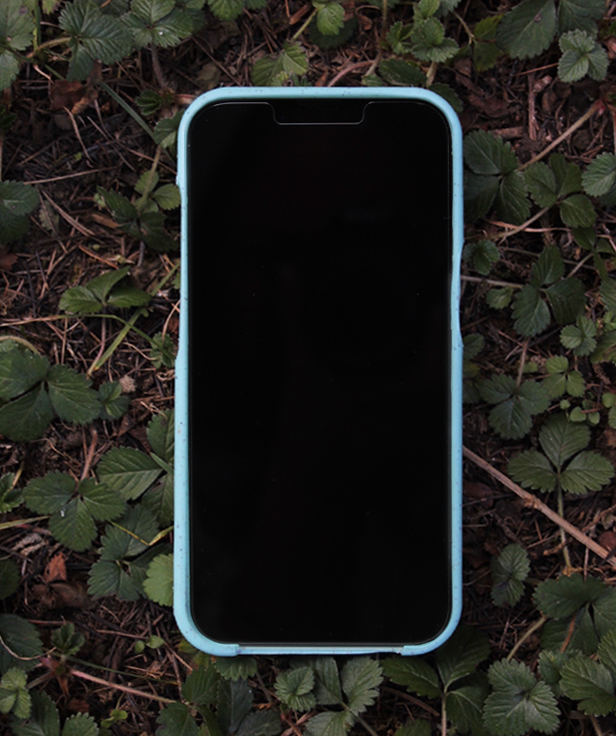 iGreen Cover azzurra fronte smartphone