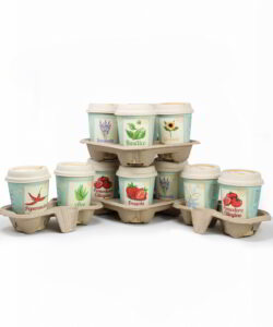 Display-iGreencup
