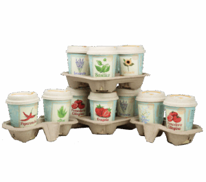 iGreen Cup display in evidenza