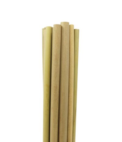 Cannucce in bamboo insieme