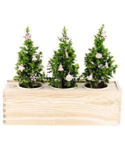 Plants in a Box Christmas Tree Large con Addobbi