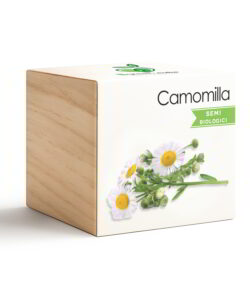 iGreen Cube Camomilla