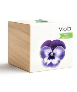 iGreen Cube Viola