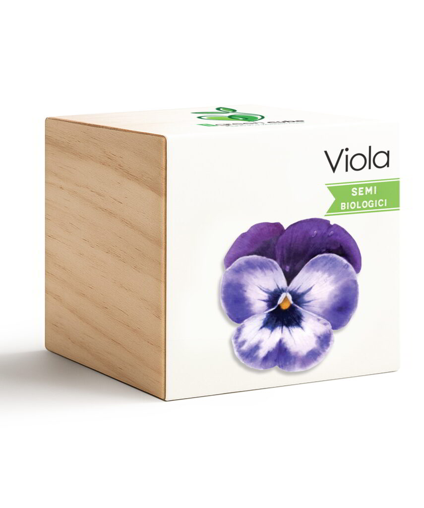 iGreen Cube Viola