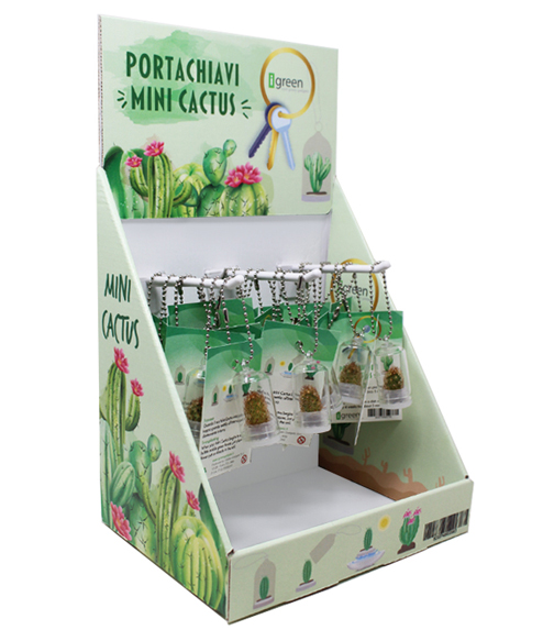 3.Display Minicactus_scheda