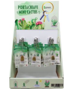 Display Minicactus - fronte