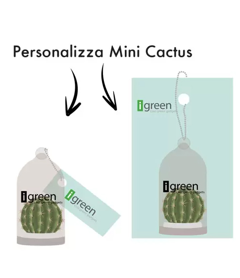 Mini cactus istruzioni personalizzazione