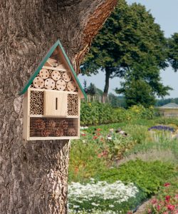 Bee Hotel in Legno su albero