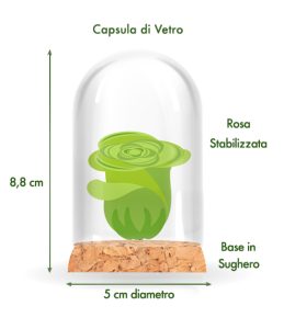 iGreen Rose Dettagli tecnici