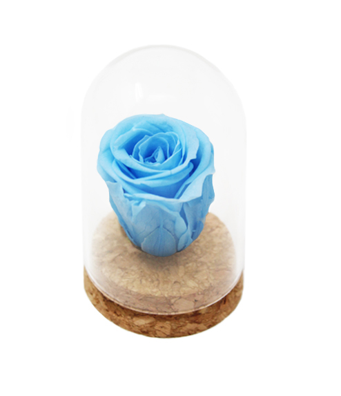 iGreen Rose azzurra cupola