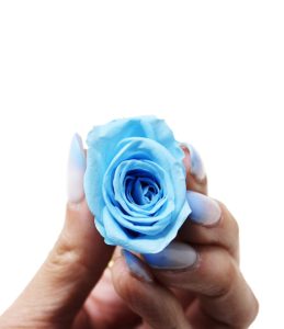 iGreen Rose azzurra in mano