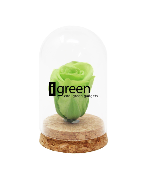 iGreen Rose con tampo