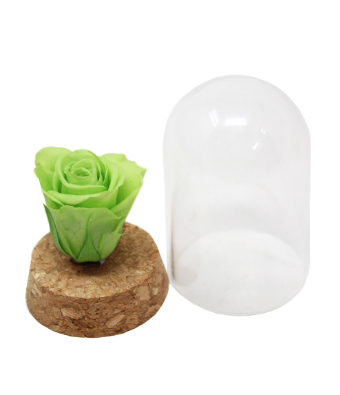 iGreen Rose fuori cupola