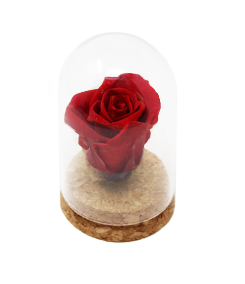 iGreen Rose rossa cupola