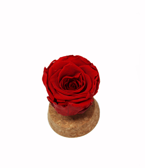 iGreen Rose rossa