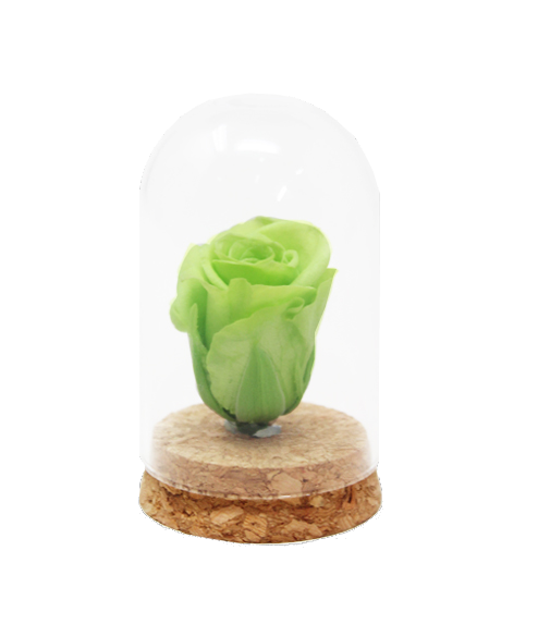 iGreen Rose png