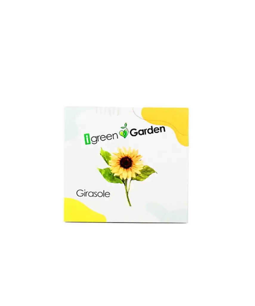 istant girasole