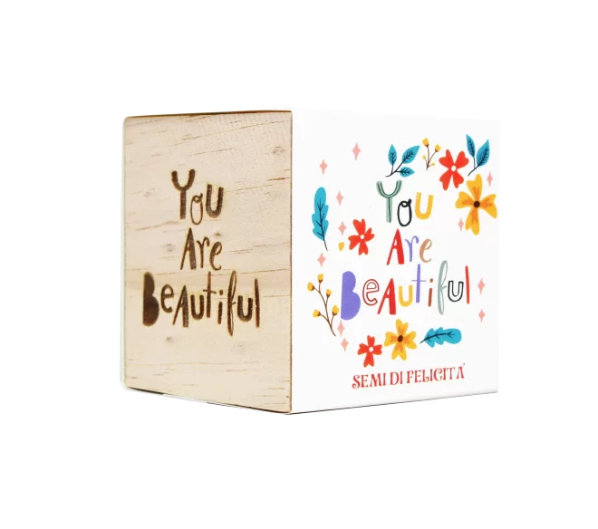 iGreen Cube Beautiful - miniatura sito-01