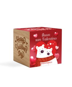iGreen Cube San Valentino - img