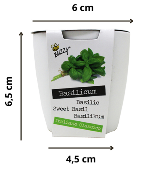 magnetic pot indicazioni dimensioni 494x573