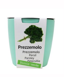 magnetic pot verde acqua front
