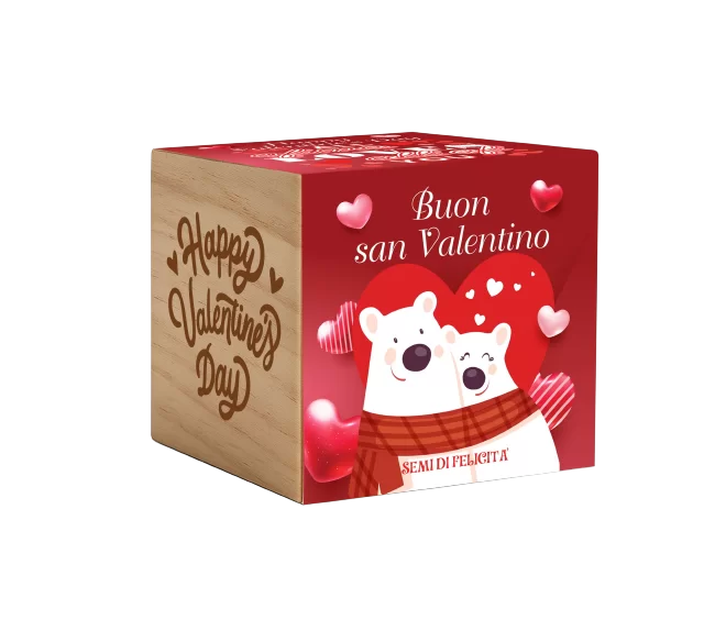 miniatura sito - cubo san valentino_
