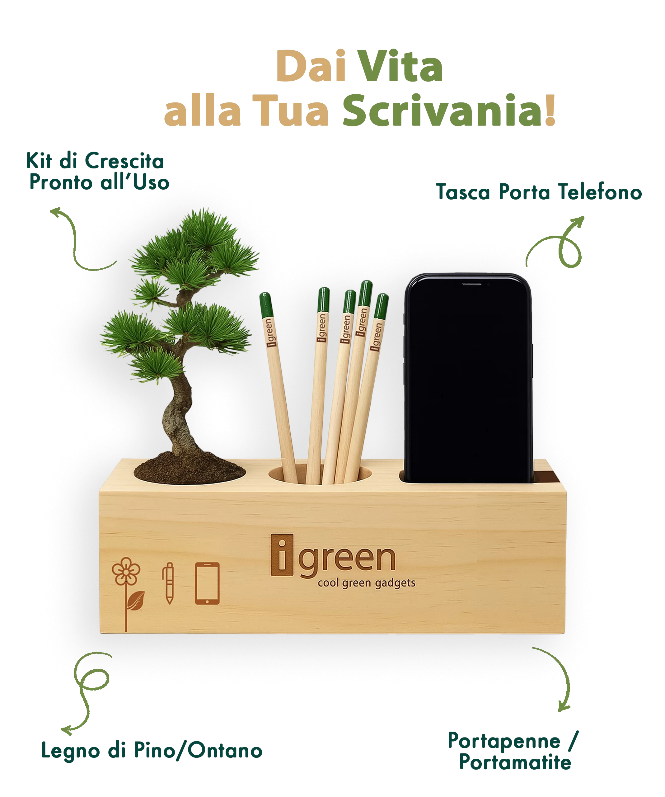 Infografica Eco Organizer-ita
