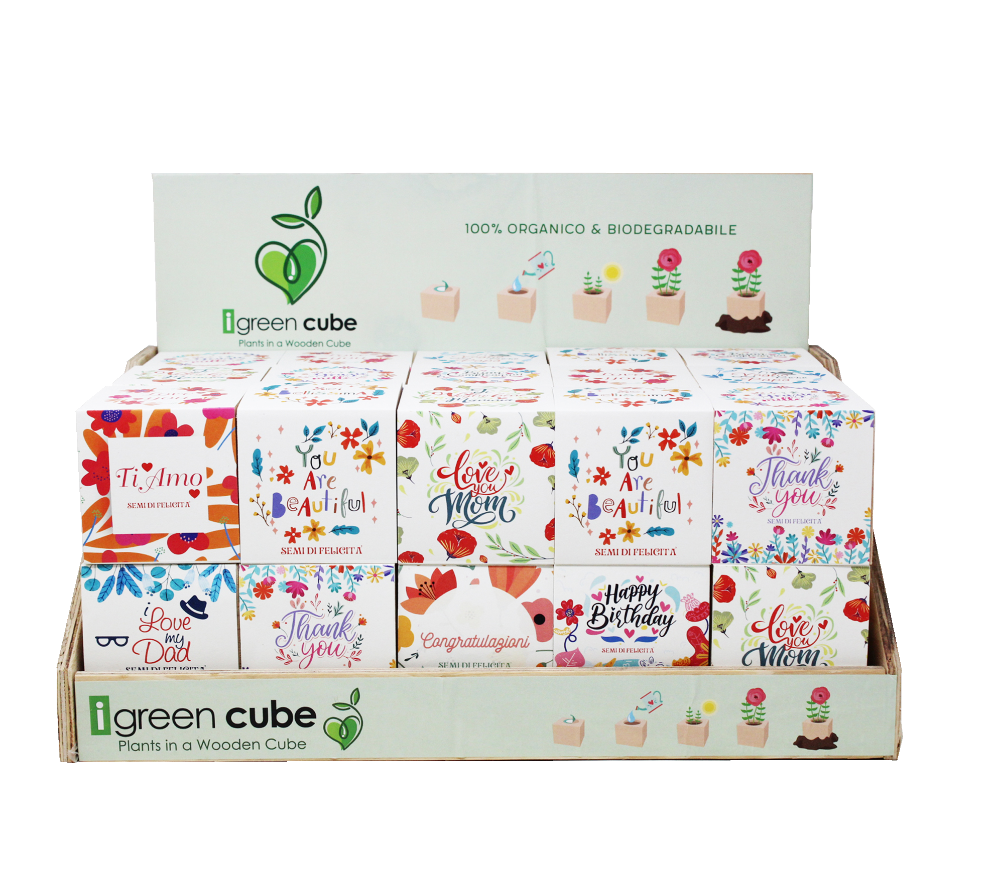 Display Cube Augurali Evidenza