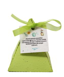 Box Porta confetti in Carta Piantabile verde