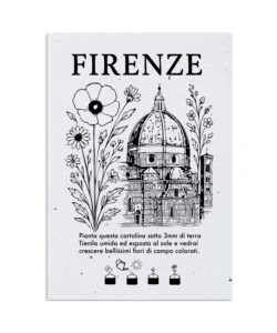 Cartoline Piantabili Città Firenze