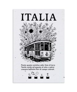 Cartoline Piantabili Città Italia