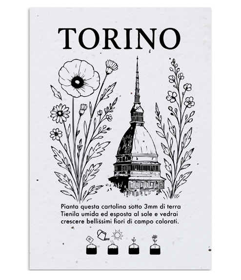 Cartolina Piantabile Torino 494x573