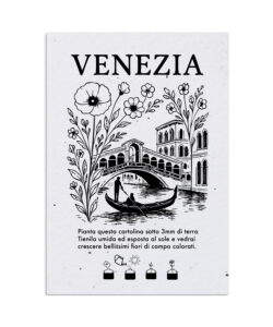 Cartoline Piantabili Città Venezia