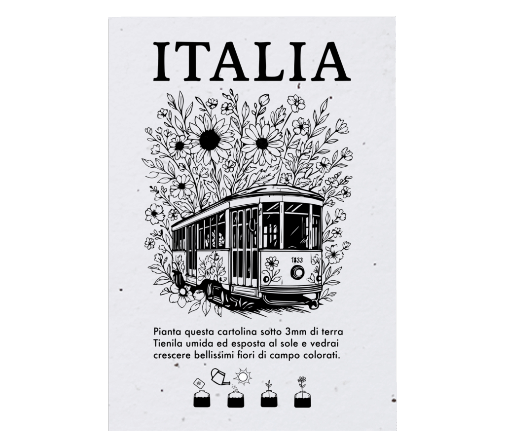 Cartoline Piantabili Città Italia evidenza