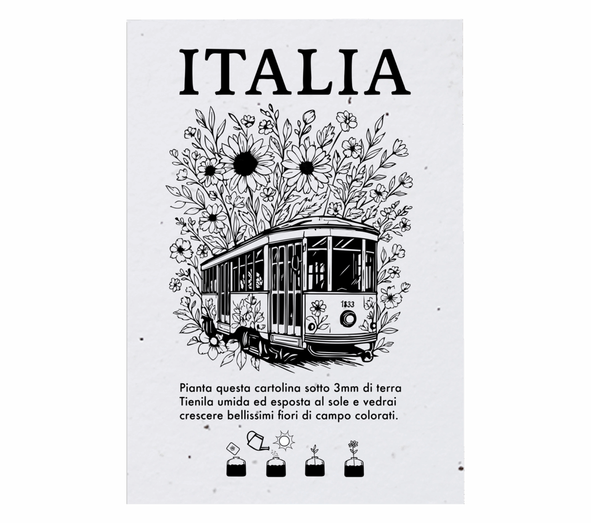 Cartoline Piantabili, Creatività Città, Grafiche Vintage
