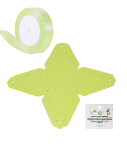 Kit Porta Confetti in Carta Piantabile Verde